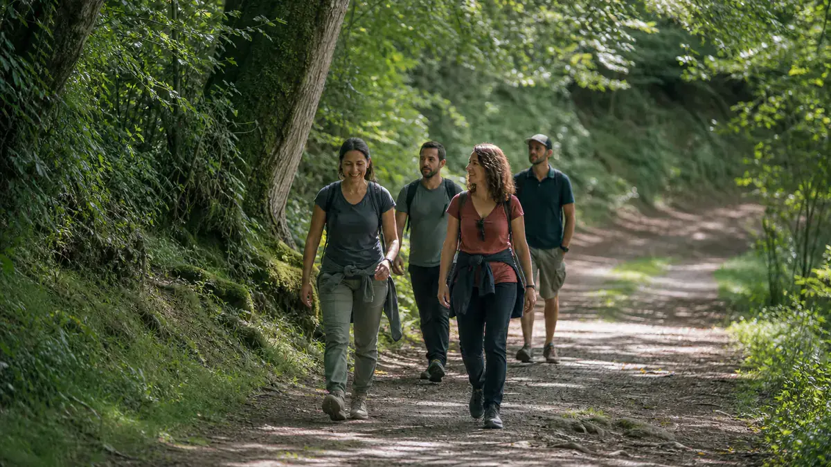 Forêt de Bastard à Pau : promenades, parcours sportifs et accès
